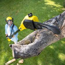 Best Sod Installation  in Rose Lodge, OR